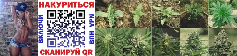 Бошки марихуана SATIVA & INDICA  Чехов 
